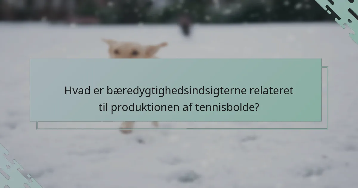 Hvad er bæredygtighedsindsigterne relateret til produktionen af tennisbolde?