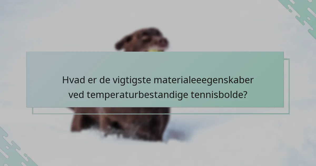 Hvad er de vigtigste materialeeegenskaber ved temperaturbestandige tennisbolde?