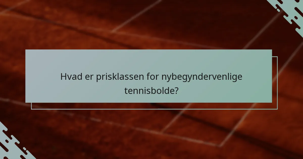 Hvad er prisklassen for nybegyndervenlige tennisbolde?