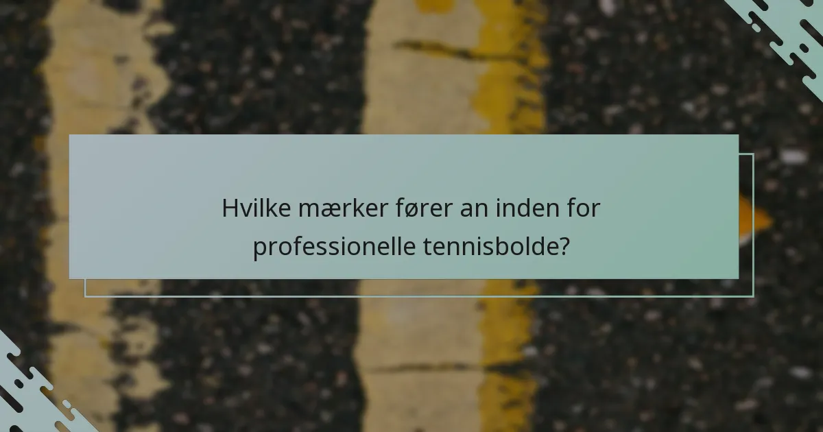 Hvilke mærker fører an inden for professionelle tennisbolde?