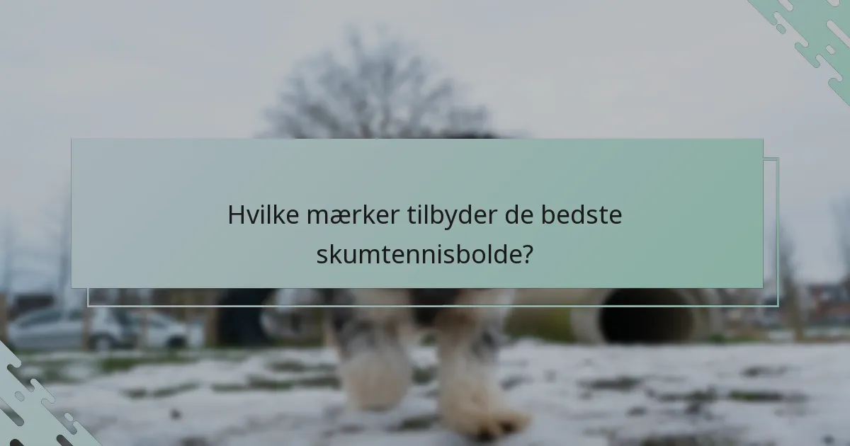 Hvilke mærker tilbyder de bedste skumtennisbolde?