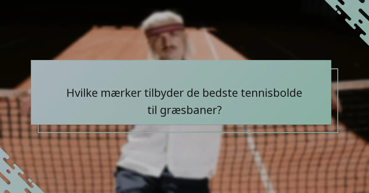 Hvilke mærker tilbyder de bedste tennisbolde til græsbaner?