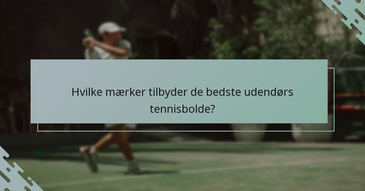 Hvilke mærker tilbyder de bedste udendørs tennisbolde?