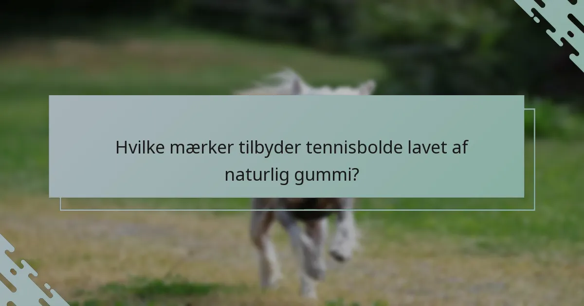 Hvilke mærker tilbyder tennisbolde lavet af naturlig gummi?