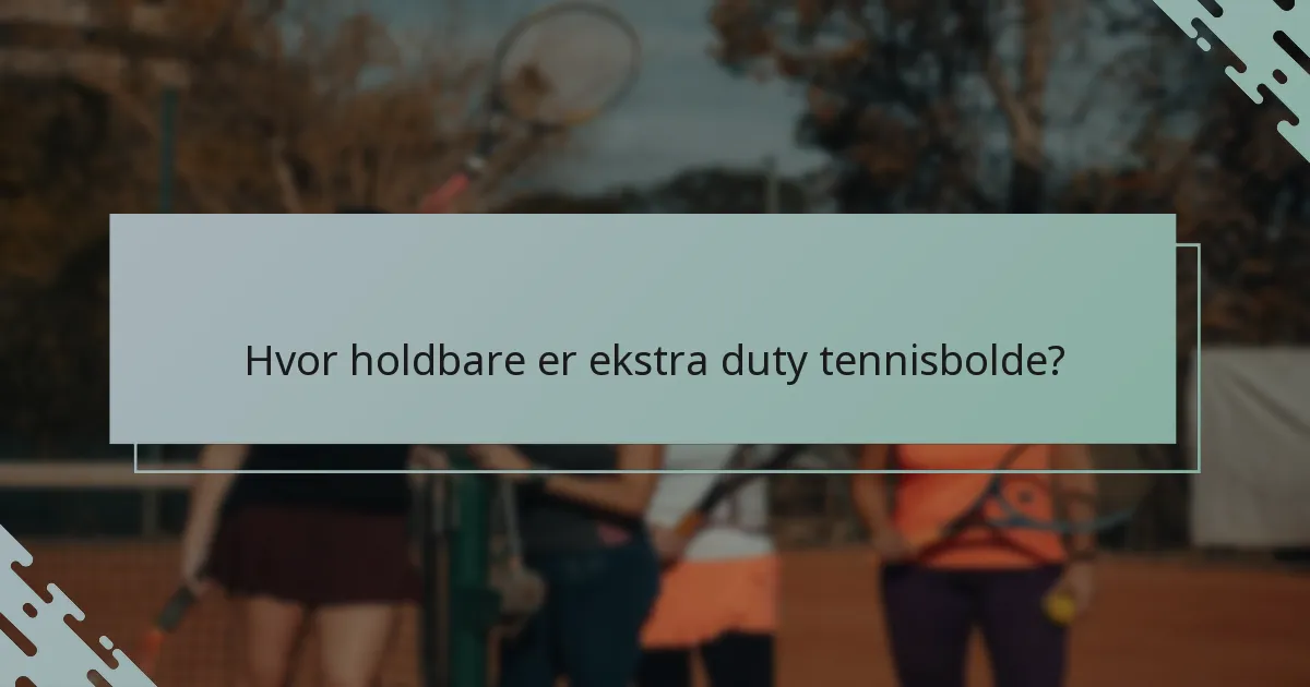 Hvor holdbare er ekstra duty tennisbolde?