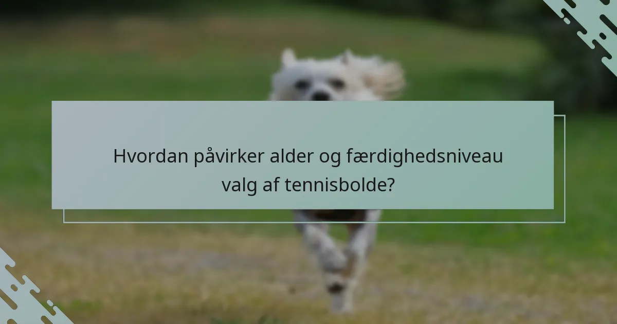 Hvordan påvirker alder og færdighedsniveau valg af tennisbolde?